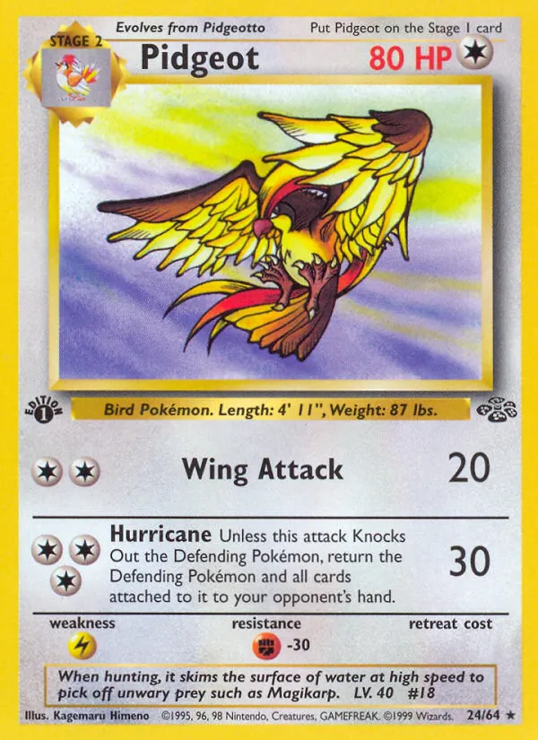 Pidgeot #24 – Jungle card
