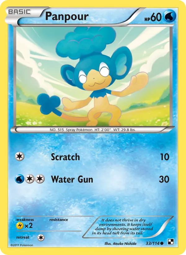 Panpour #33 – Black & White card