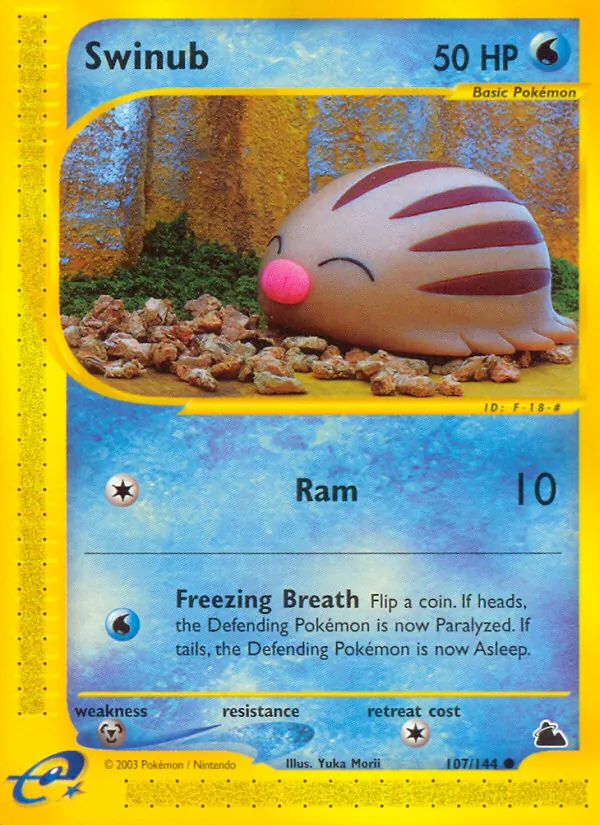 Swinub #107 – Skyridge card