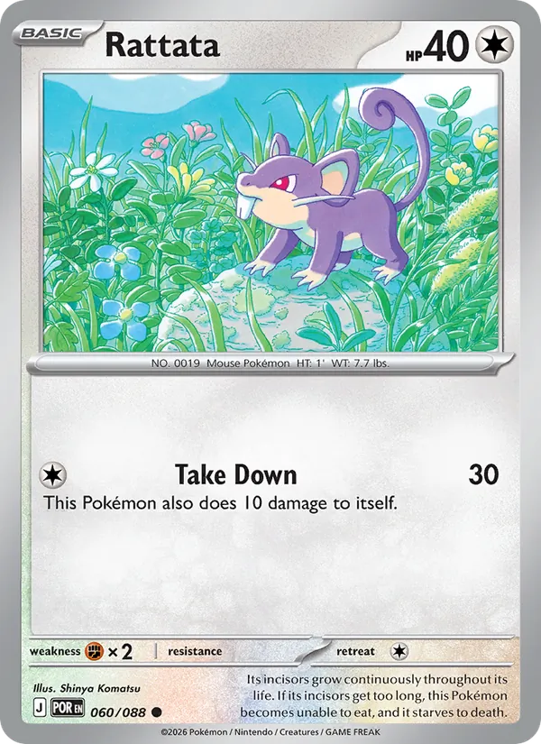 Rattata #060 – Perfect Order card