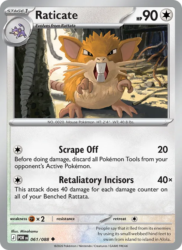 Raticate #061 – Perfect Order card