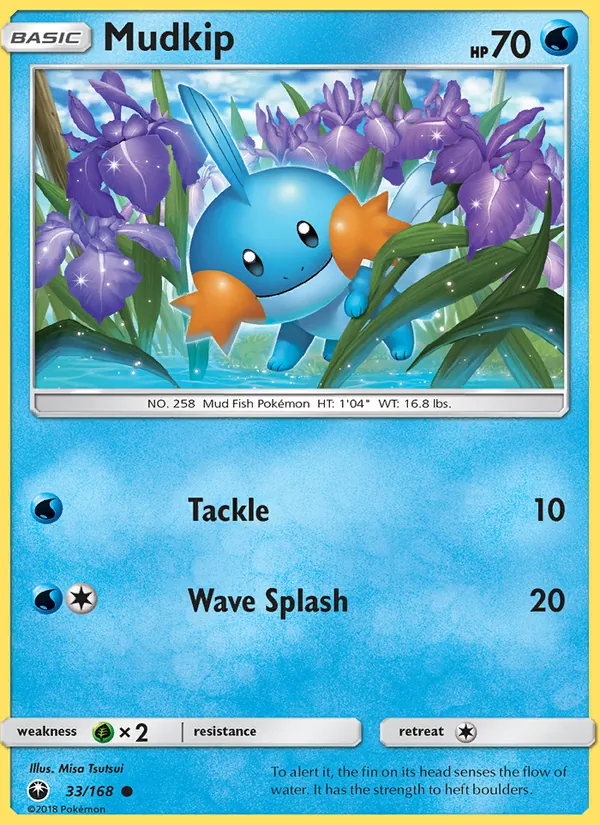 Mudkip #33 – Celestial Storm card