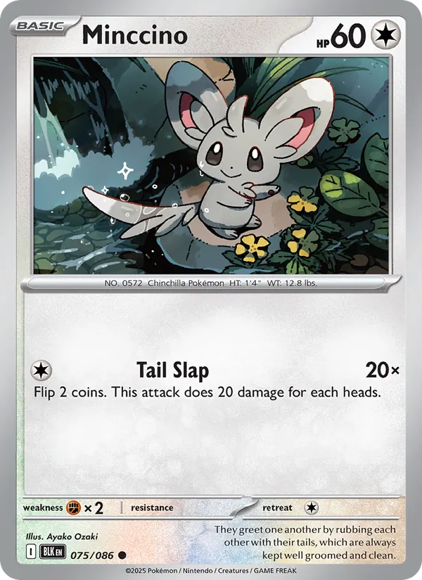 Minccino #075 – Black Bolt card