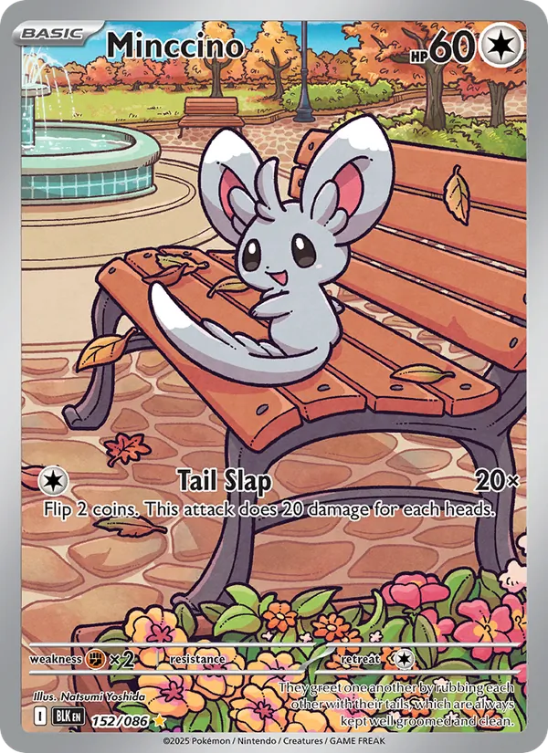 Minccino #152 – Black Bolt card