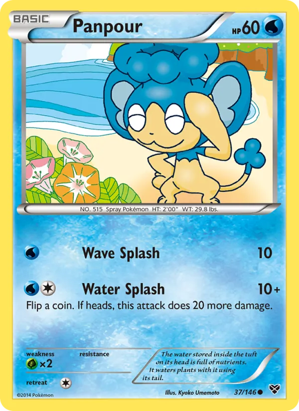 Panpour #37 – XY card