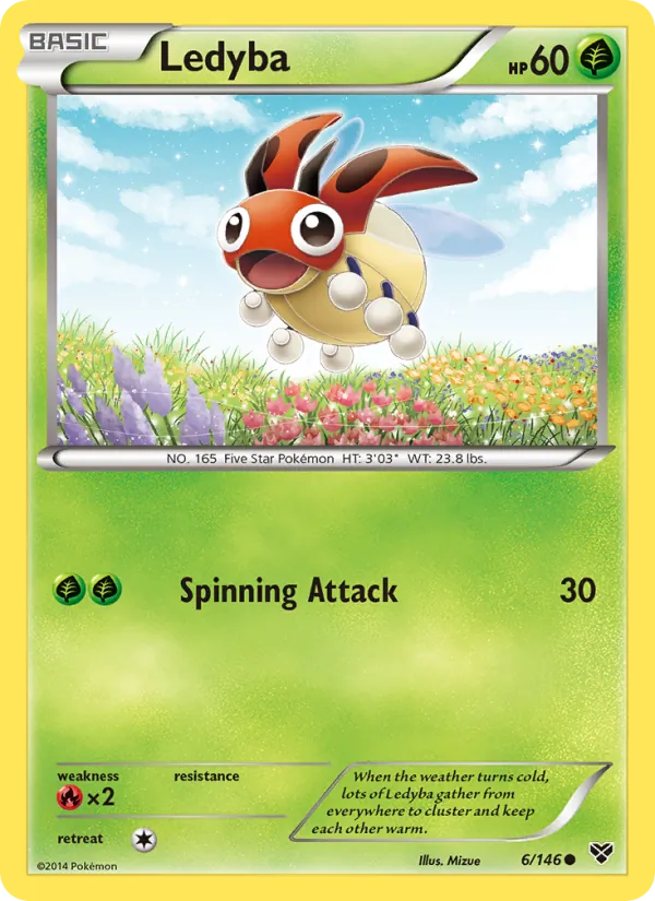 Ledyba #6 – XY card