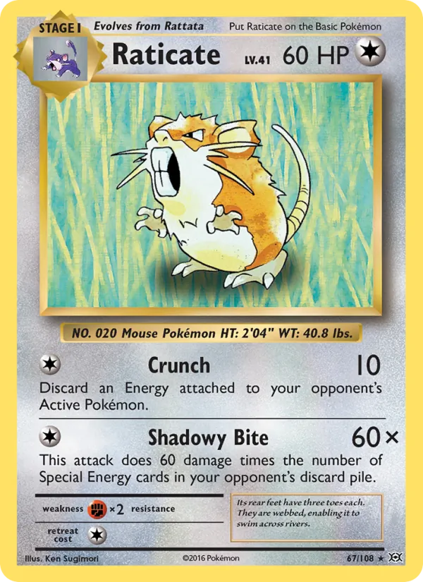 Raticate #67 – Evolutions card