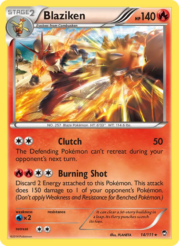 Blaziken #14 – Furious Fists card