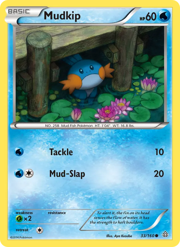 Mudkip #33 – Primal Clash card