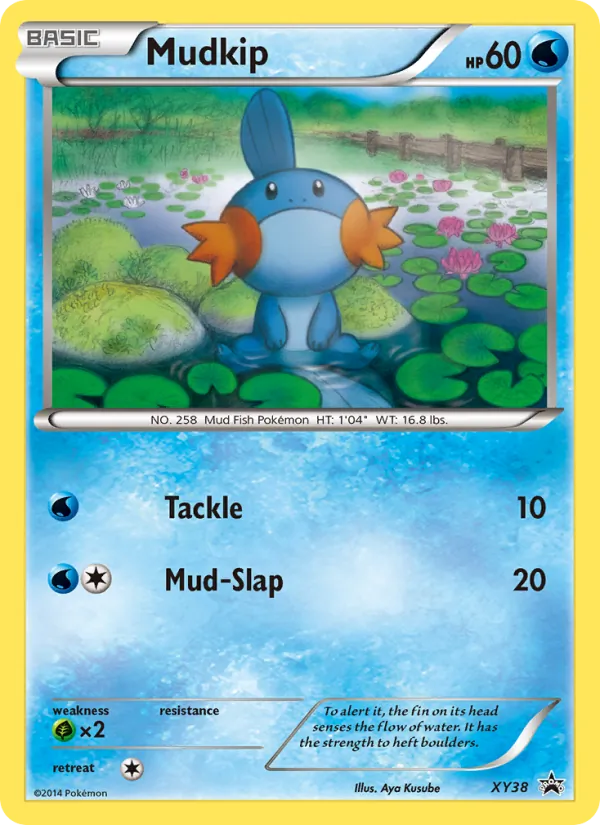 Mudkip #XY38 – XY Black Star Promos card